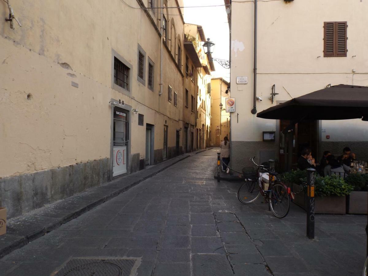 Nido De' Pitti Florenz